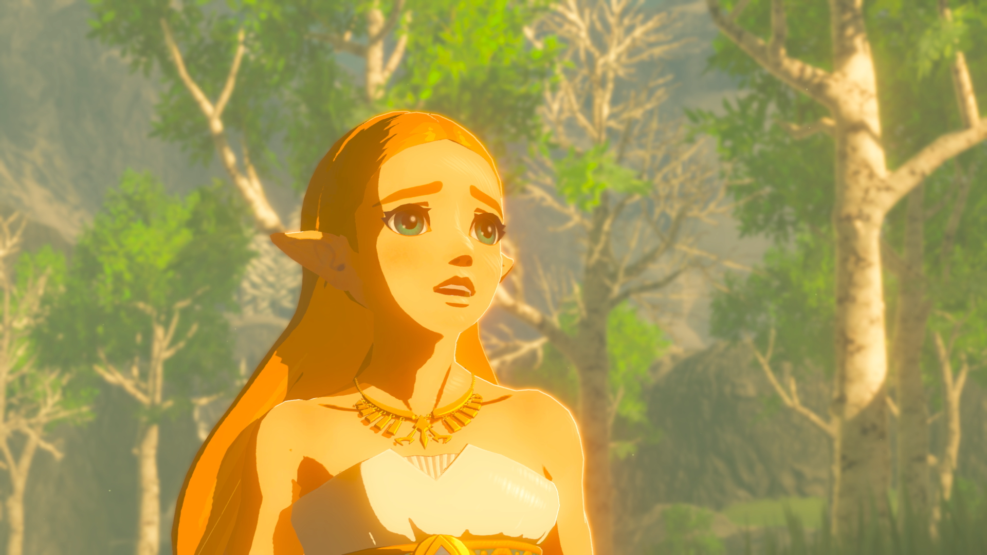 botw01.png